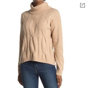 Stitchdrop Nordstrom Cable Knit Sweater Super Soft Knit in Tan Turtleneck